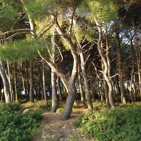 아파트 In Pula/istrien 17471